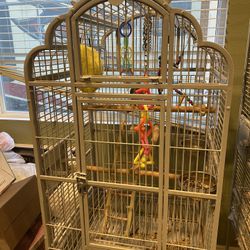 Bird Cage Green Cheek Concure