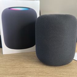 Black Apple homepod