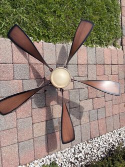 Ceiling Fan with Light and Remote Control