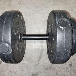 20lb Dumbbell