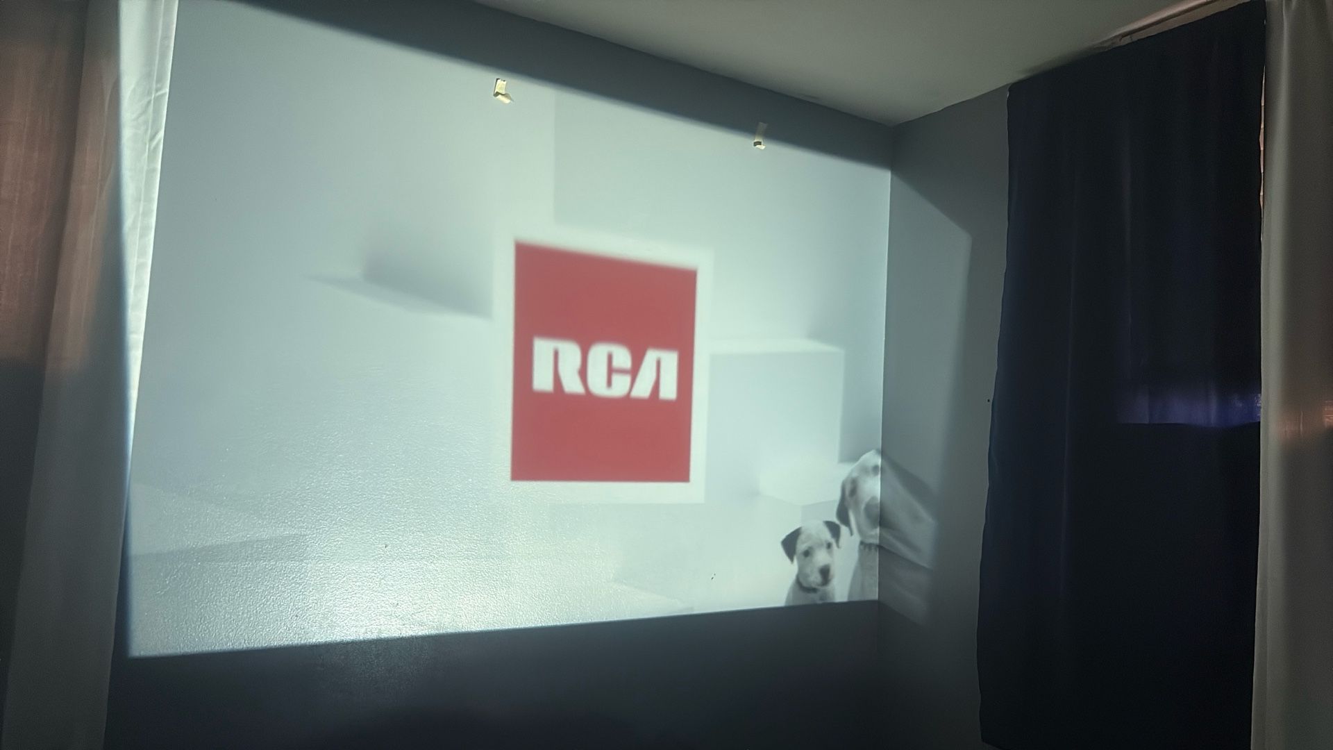 I have a scream projector
