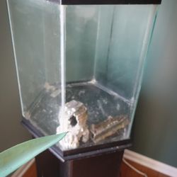 Aquarium / Fish Tank 35 Gallon Hexagon with Stand and 2 Fish Ornaments