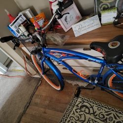 Bicycle Beach Crusier 