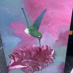 Hummingbird portrait 