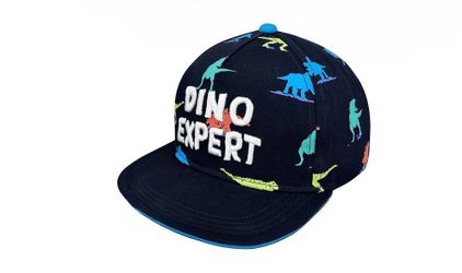 Toddler Boys Dino Expert Baseball Hat - Blue