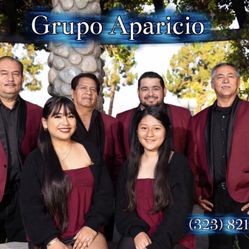 Grupo Aparicio lo mejor en musica versatil 