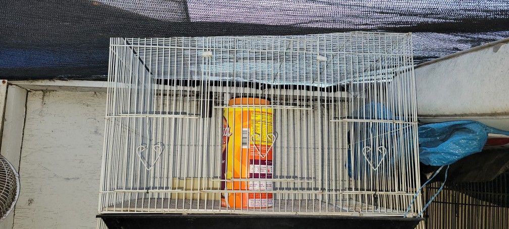 Bird Cage