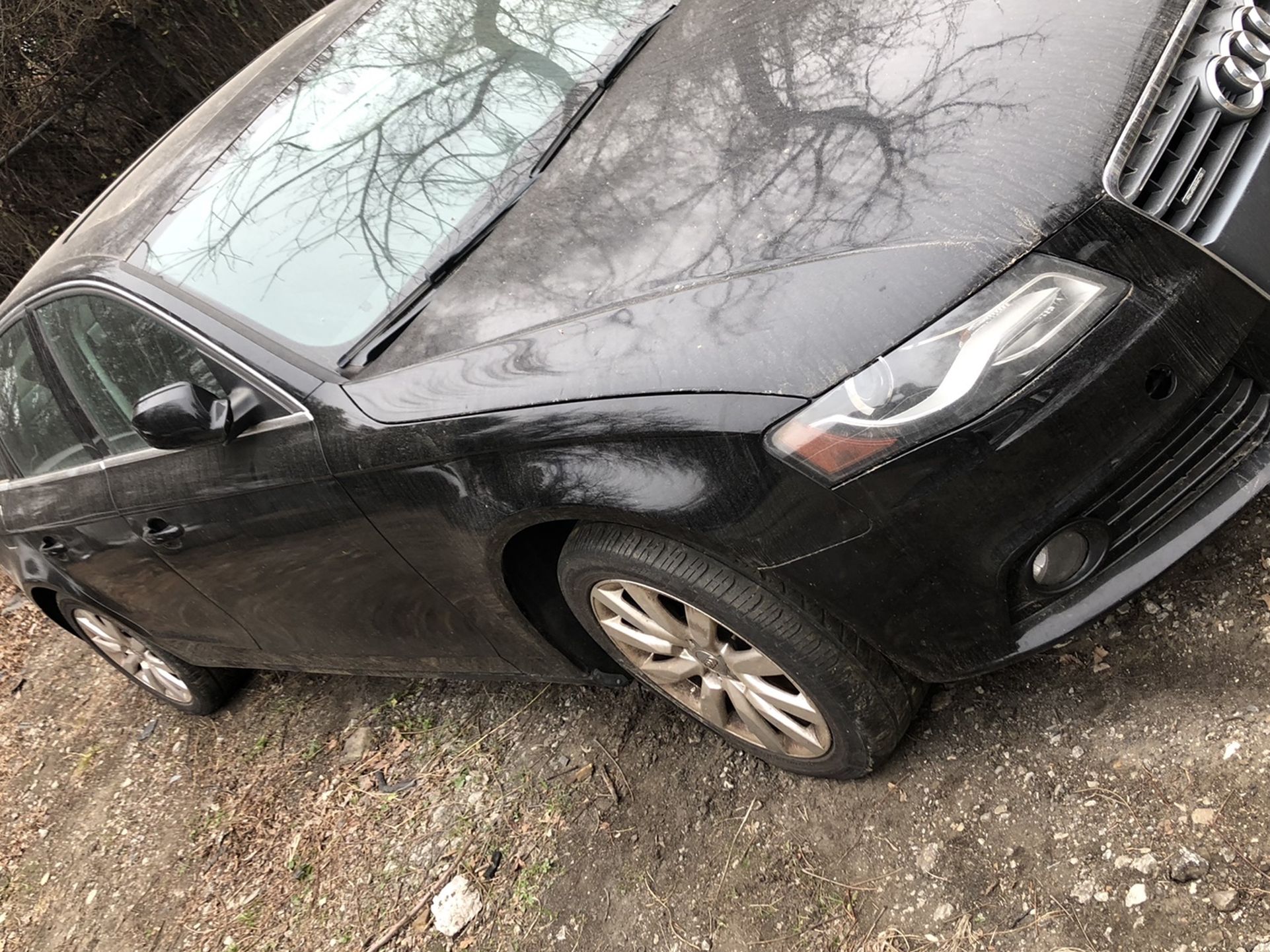 For Parts 2010 Audi Quattro