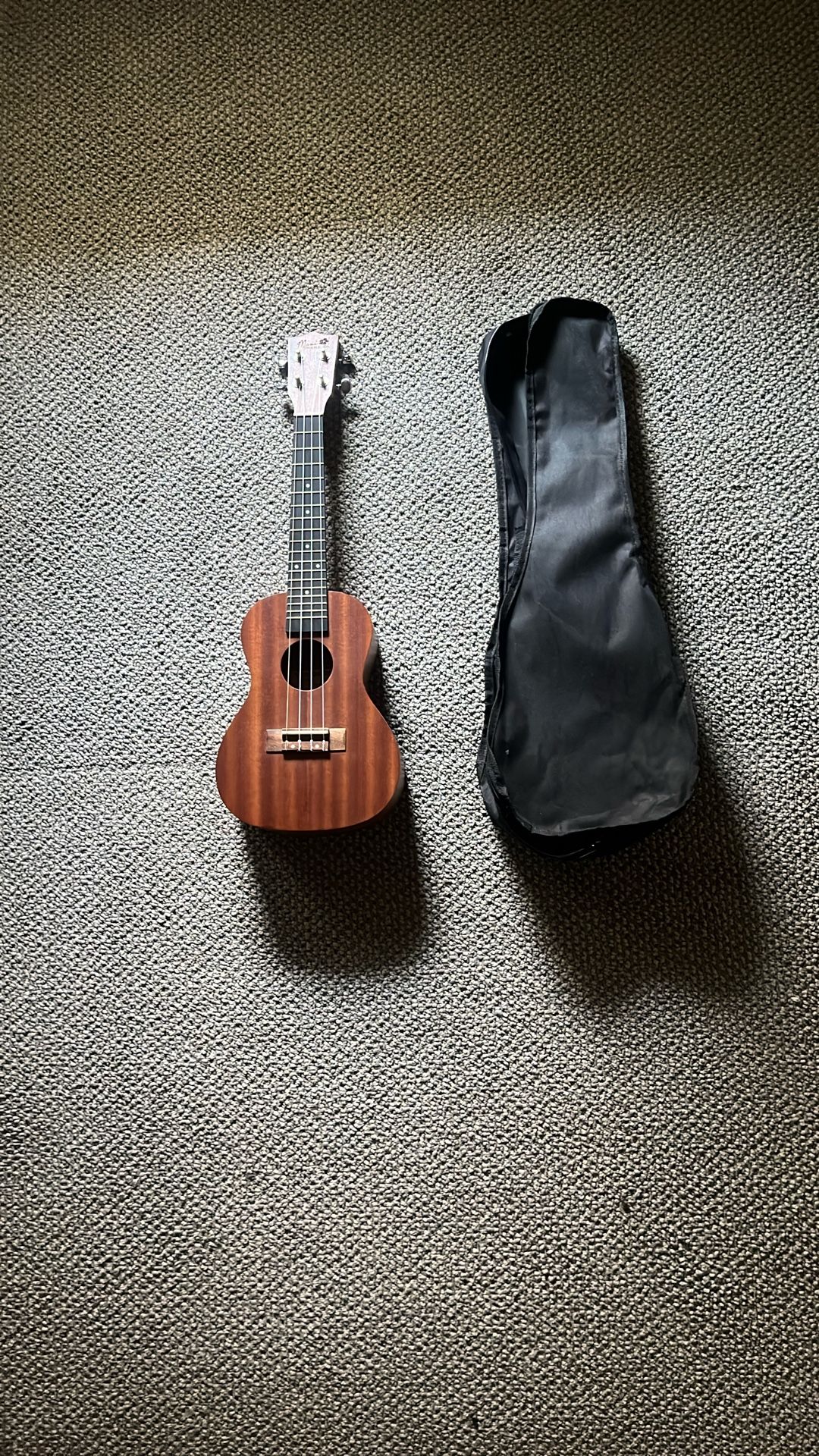 Ukulele with Case