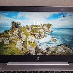 8th Gen i5 HP ProBook 440 G6 Laptop (8GB/256GB)