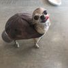 Buymystuff
