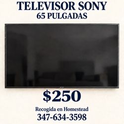 Sony 65-Inch Flat Screen TV