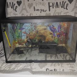 10 Gallon Fish Tank With Filter