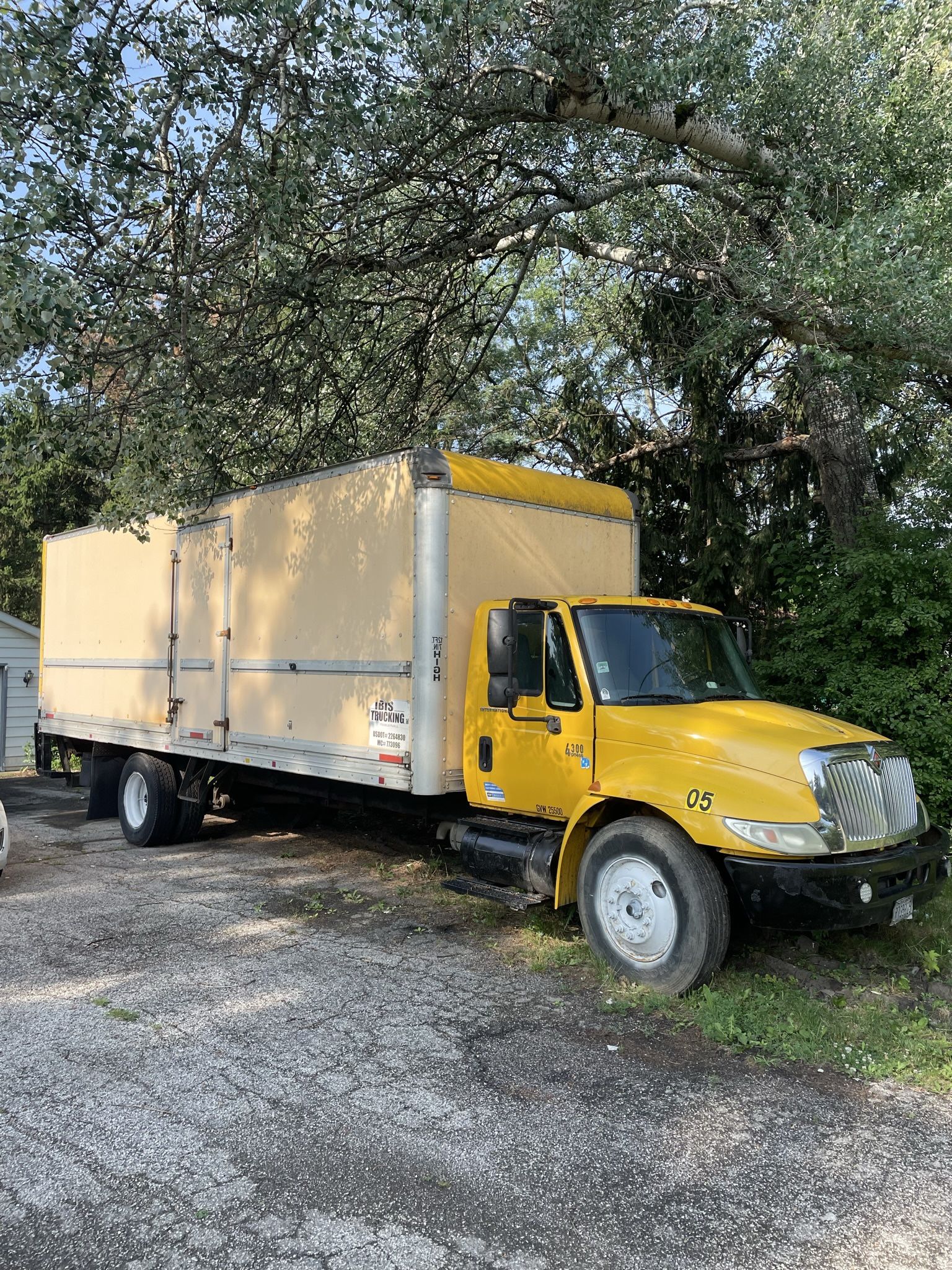 2006 International DT4300