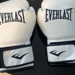 Everlast Boxing Gloves