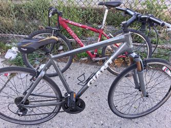 Giant Roam 2