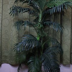 Fake Plant 