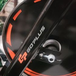 GO PLUS BIKE SPINNER !   MINT CONDITION 
