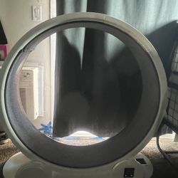 Large Cat Wheel
