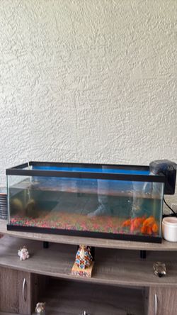 20 Gallon Fish Tank