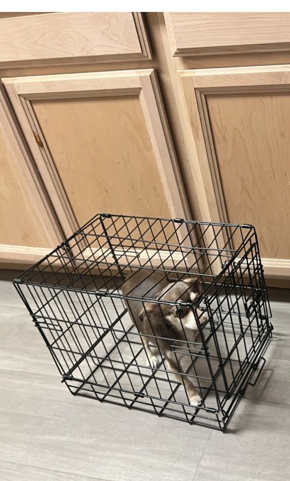 $20 Foldable Metal Small Dog Crate