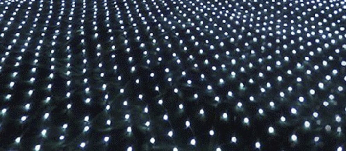 Outdoor Christmas Bush Lights