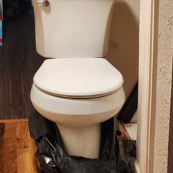 Bathroom Toilet Like New