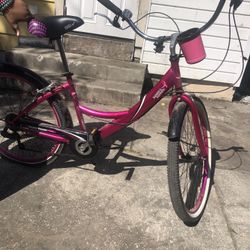 Susan Komen Bike