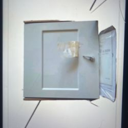 Moose Z1250 Digital Alarm Communicator 