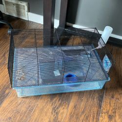 Hamster Cage