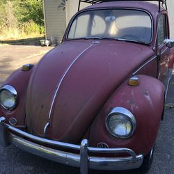1967 VW Beetle 