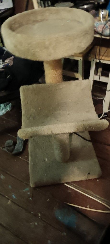 Cat furniture