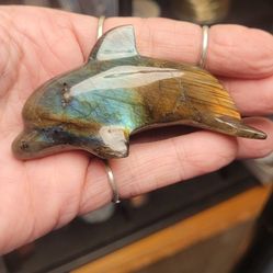 High Flash Laboradite Dolphin