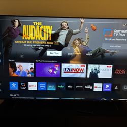 Samsung 65” TV 