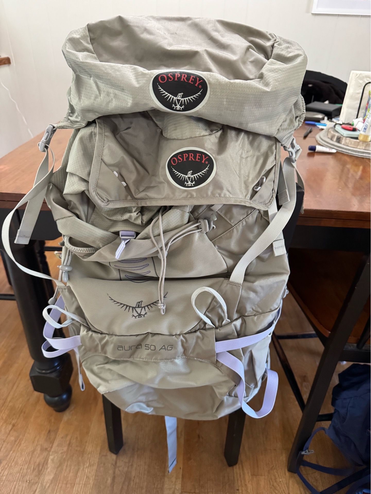 Osprey hiking backpack