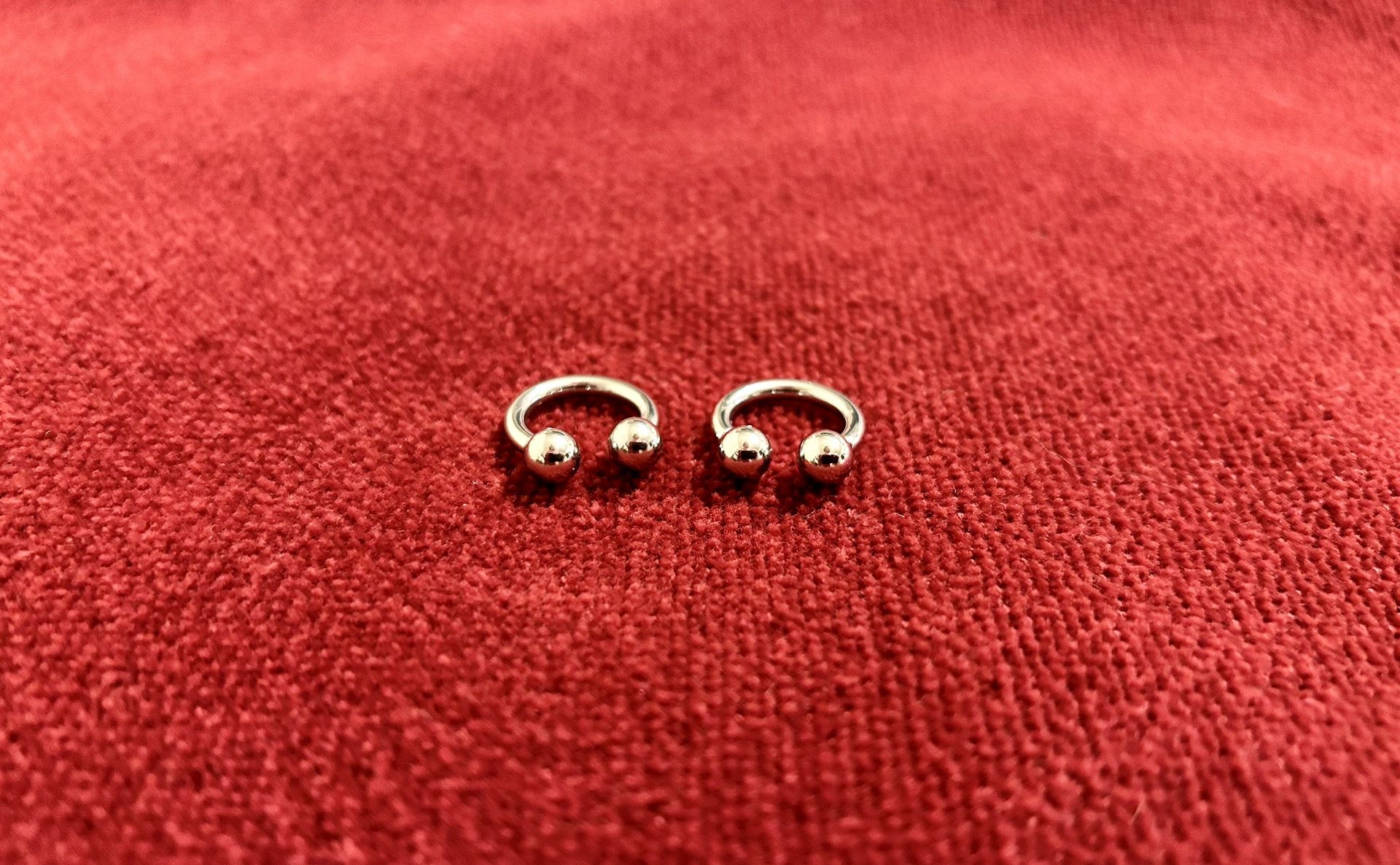 10g Circular Barbell Horseshoe Internally Threaded 6MM Ball Ear Septum Body Jewelry
