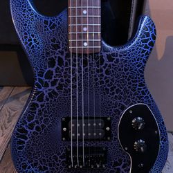 Custom Built Guitar 