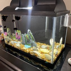Fish Tank 