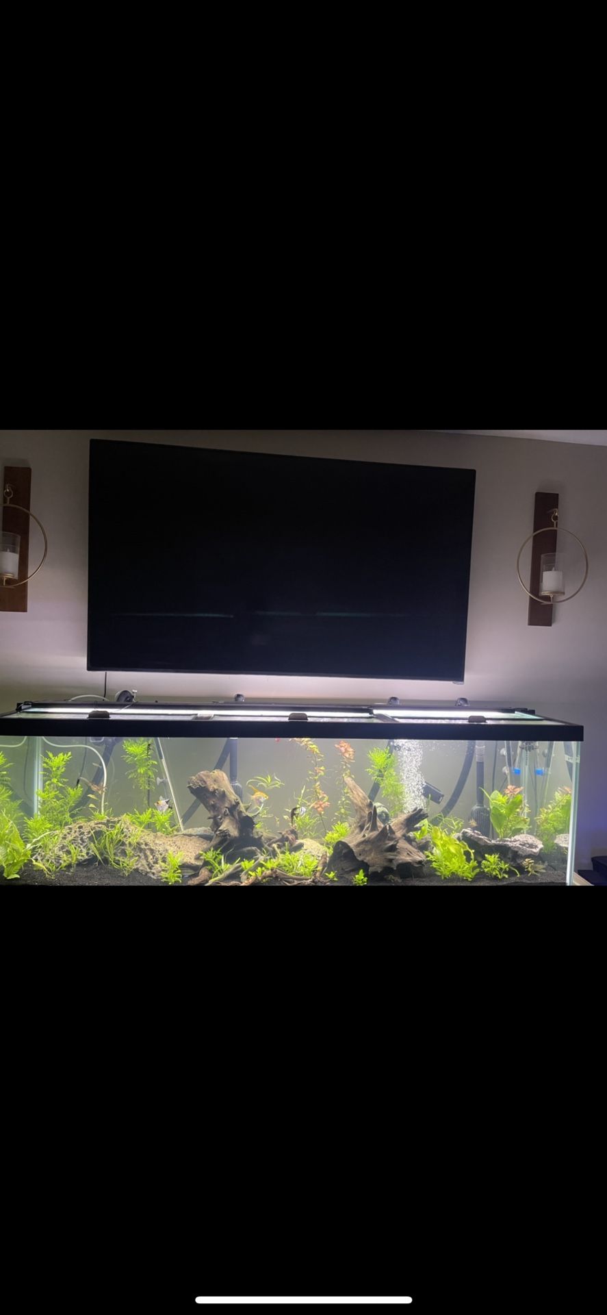 125 Gallon Fish tank Aquarium With Many Accessories 