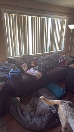 Couch bed