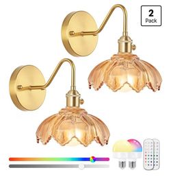 Vintage Glass Sconces, Battery Operated Wall Light with Remote, Rechargeable Wall Sconces RGB, No Socket Required, Easy to Install, Vintage Wall Sconc