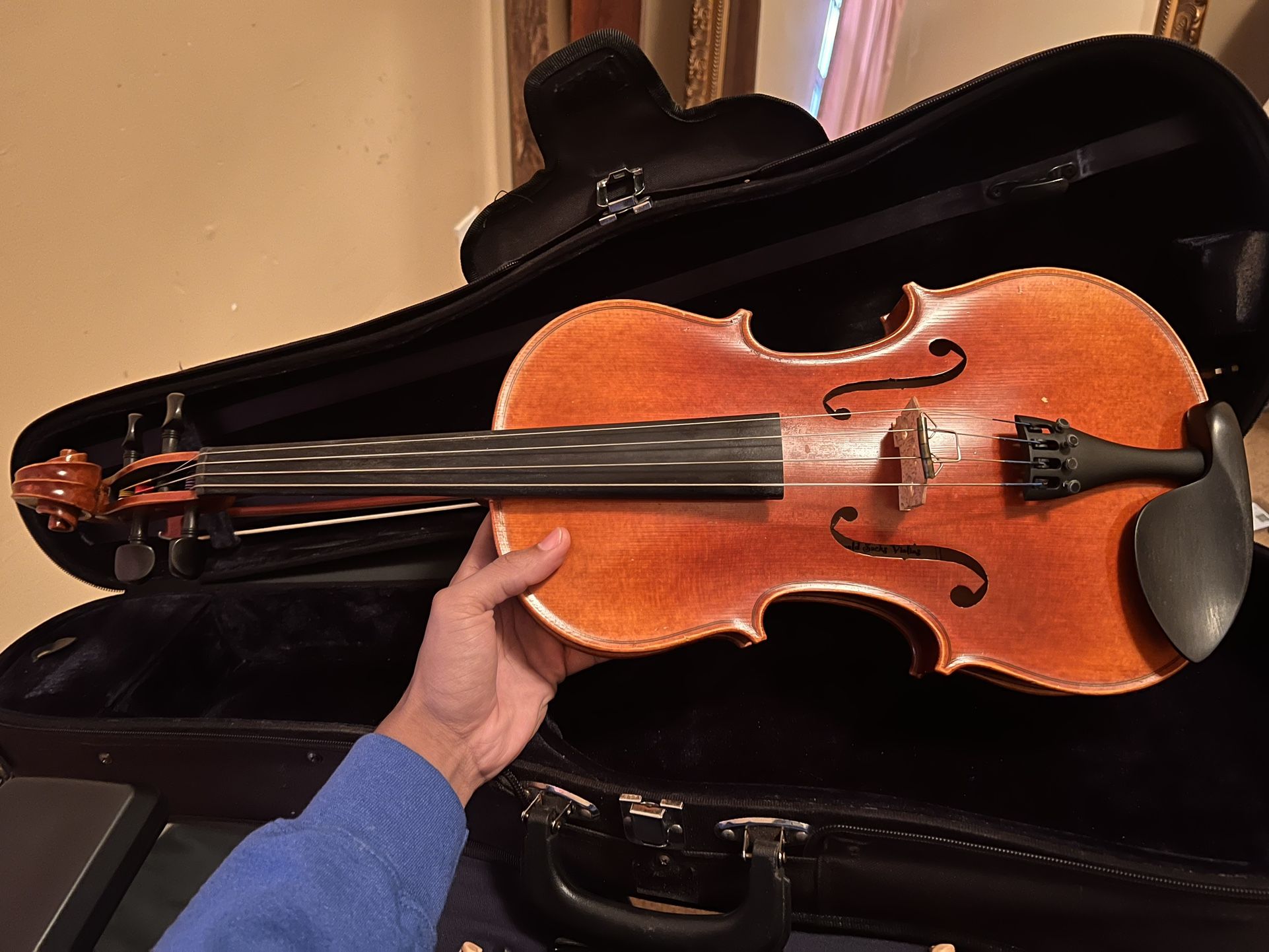 16 1/2 Viola