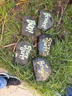 5 Halloween Rocks Stones