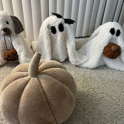 Halloween Themed Pillows