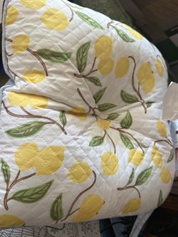 Reversible Chair Pad