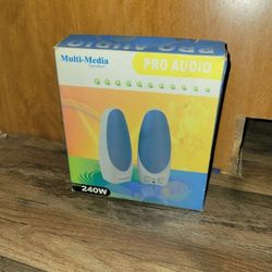 Computer Speakers