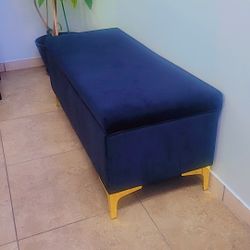 Back  & Gold Storage Bench , Lightly Used