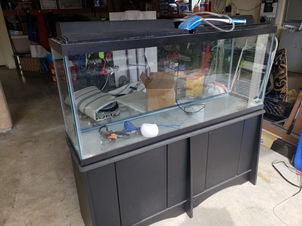 Fish Tanks ( 55 Gallon And 10 Gallon Curved Front)