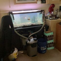 40 gallon tank, wood, fish and rocks and pump 75 gallon tank to