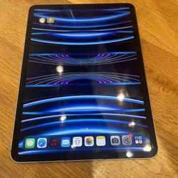 Unlocked iPad Pro 11’ M2 Chip 4th Gen (2022) WiFi+ Cellular 1 TB- Space Gray 